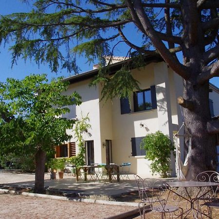 Le Grand Cedre - 2 Chambres D'Hotes - Sud Ardeche Bourg-Saint-Andéol Екстериор снимка