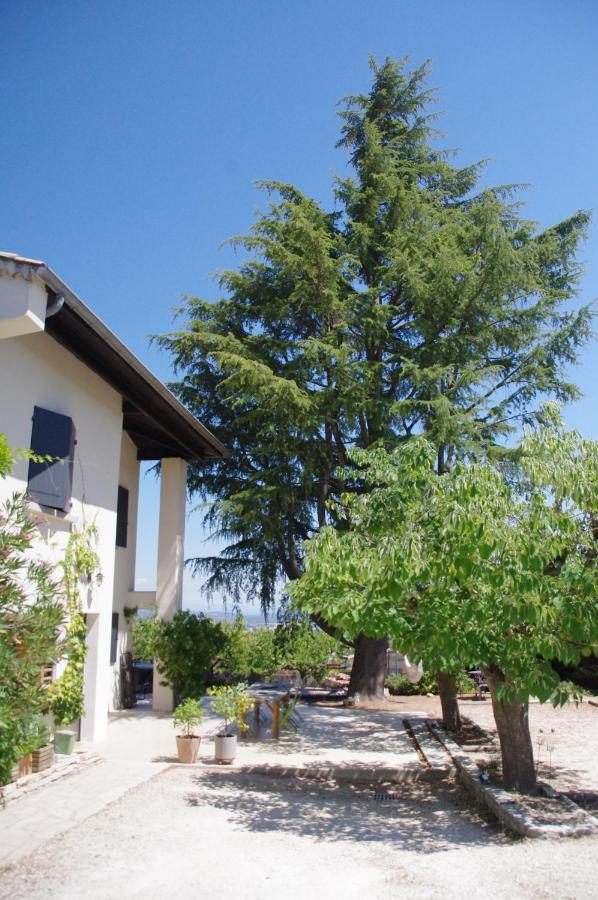 Le Grand Cedre - 2 Chambres D'Hotes - Sud Ardeche Bourg-Saint-Andéol Екстериор снимка